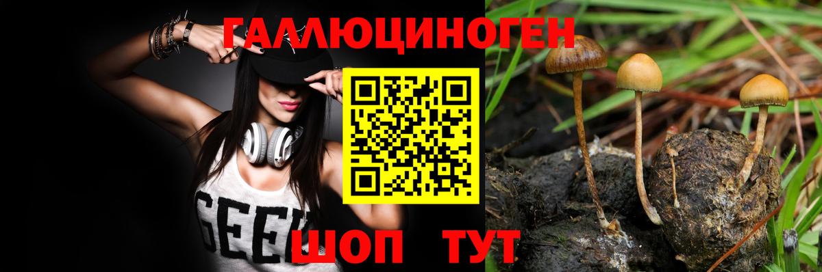 Галлюциногенные грибы мицелий Кировск